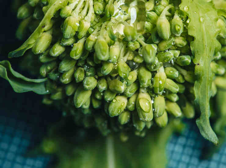 Cime di rapa broccoli ortaggi