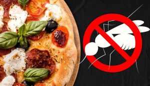 pizza anti zanzare