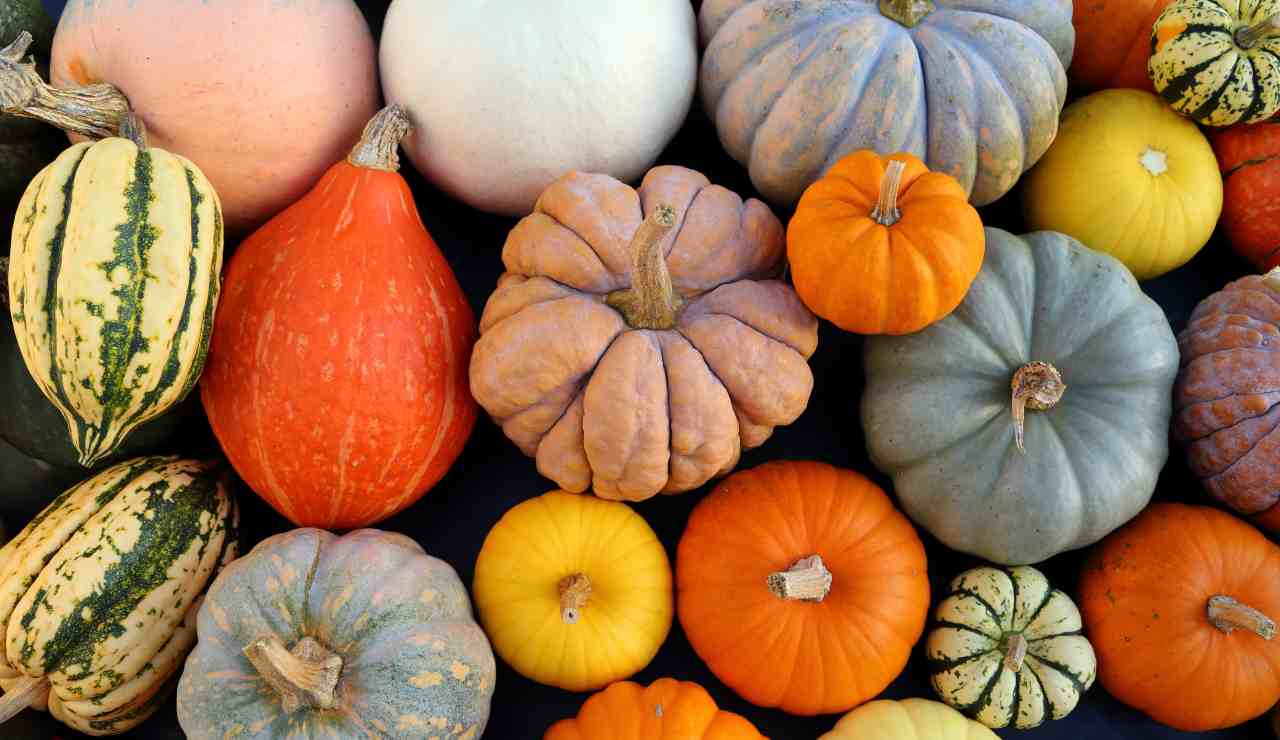 Varietà di zucca per il risotto 