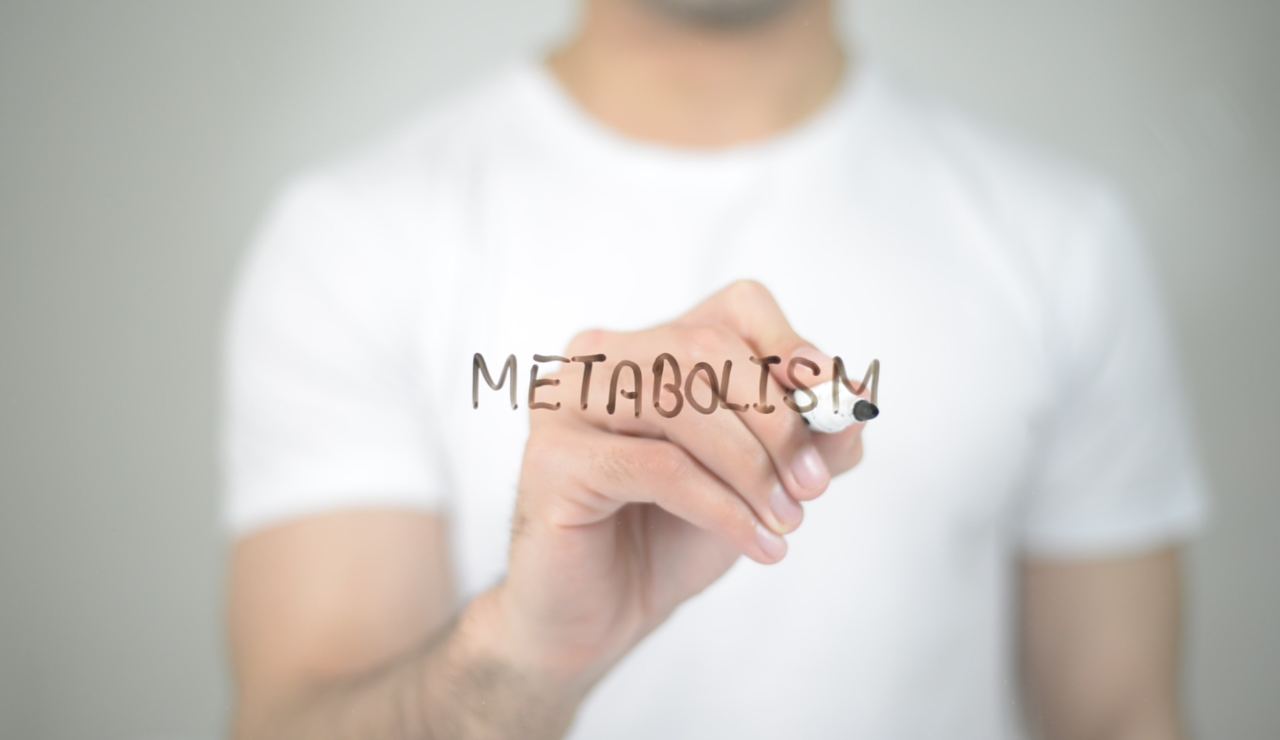 Metabolismo lento 