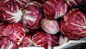 Radicchio rosso