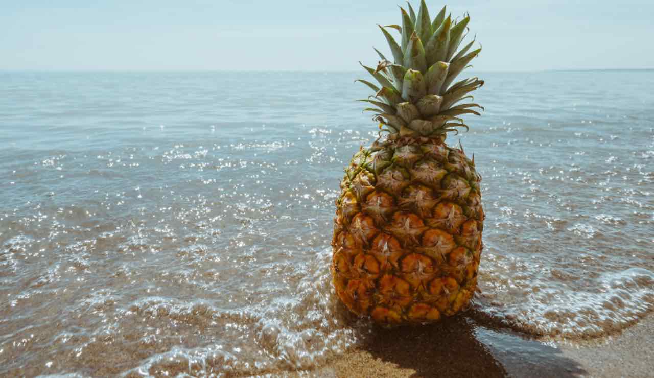 Ananas 