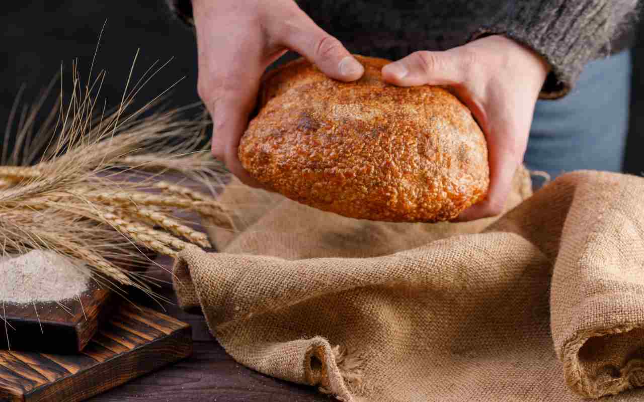 Una pane ottimo da creare nelle nostre cucine