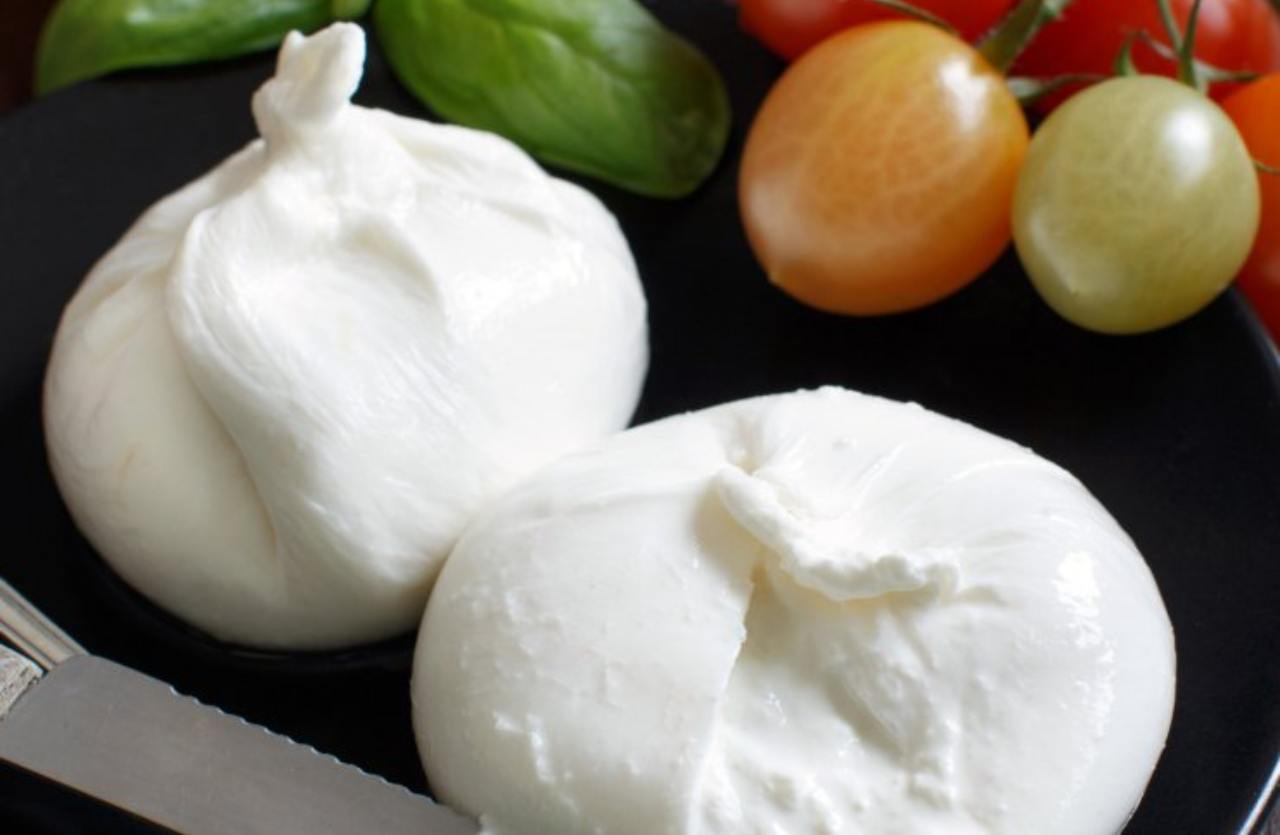 burrata