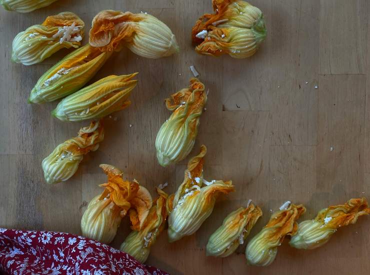 fiori zucca