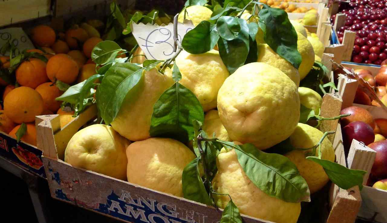 Limone di Sorrento - foto wikimedia commons - streetfoodnews.it